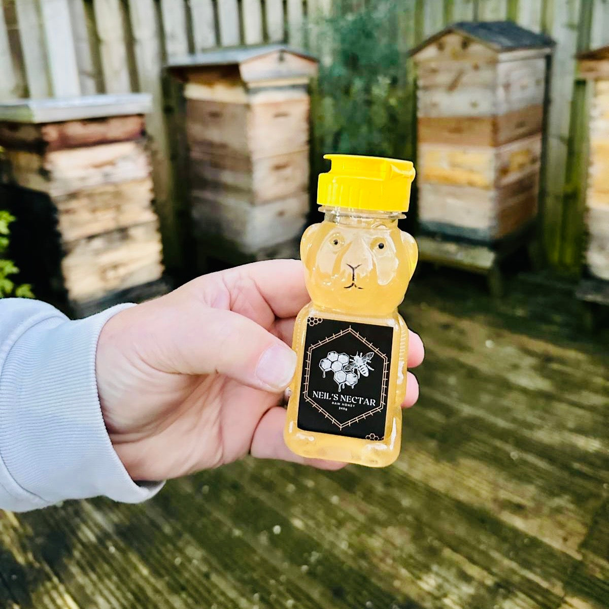 Neil's Nectar Honey Squeeze Bear 226g