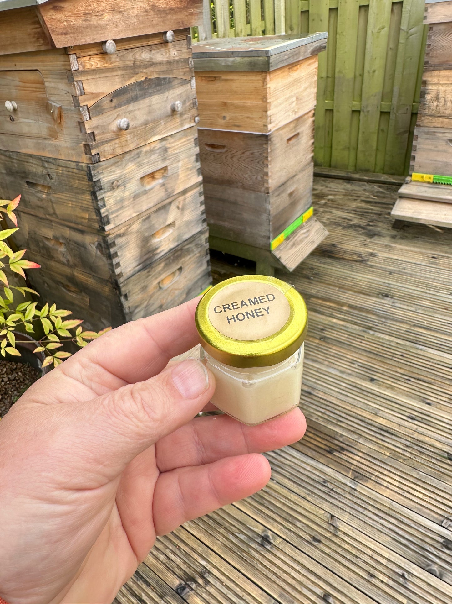 Neil's Nectar Creamed Honey Taster Pot