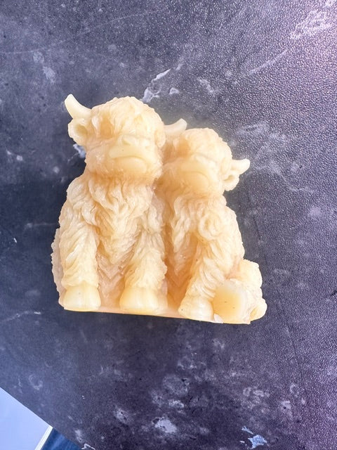 Pure Beeswax loving Highland cows melt