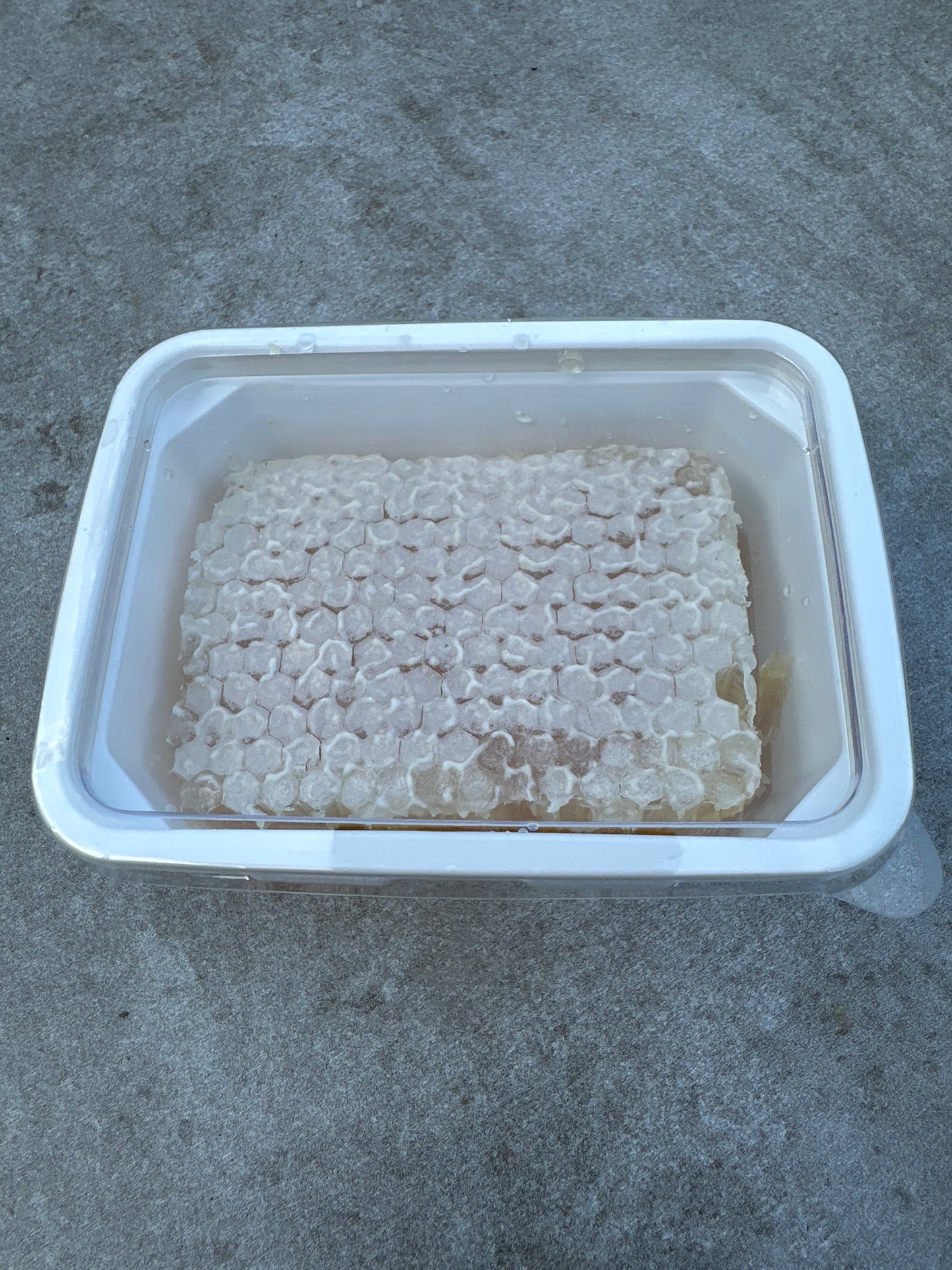 Raw Honeycomb cut comb Block – 8oz