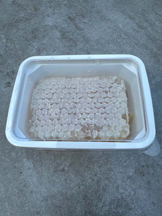 Raw Honeycomb cut comb Block – 8oz