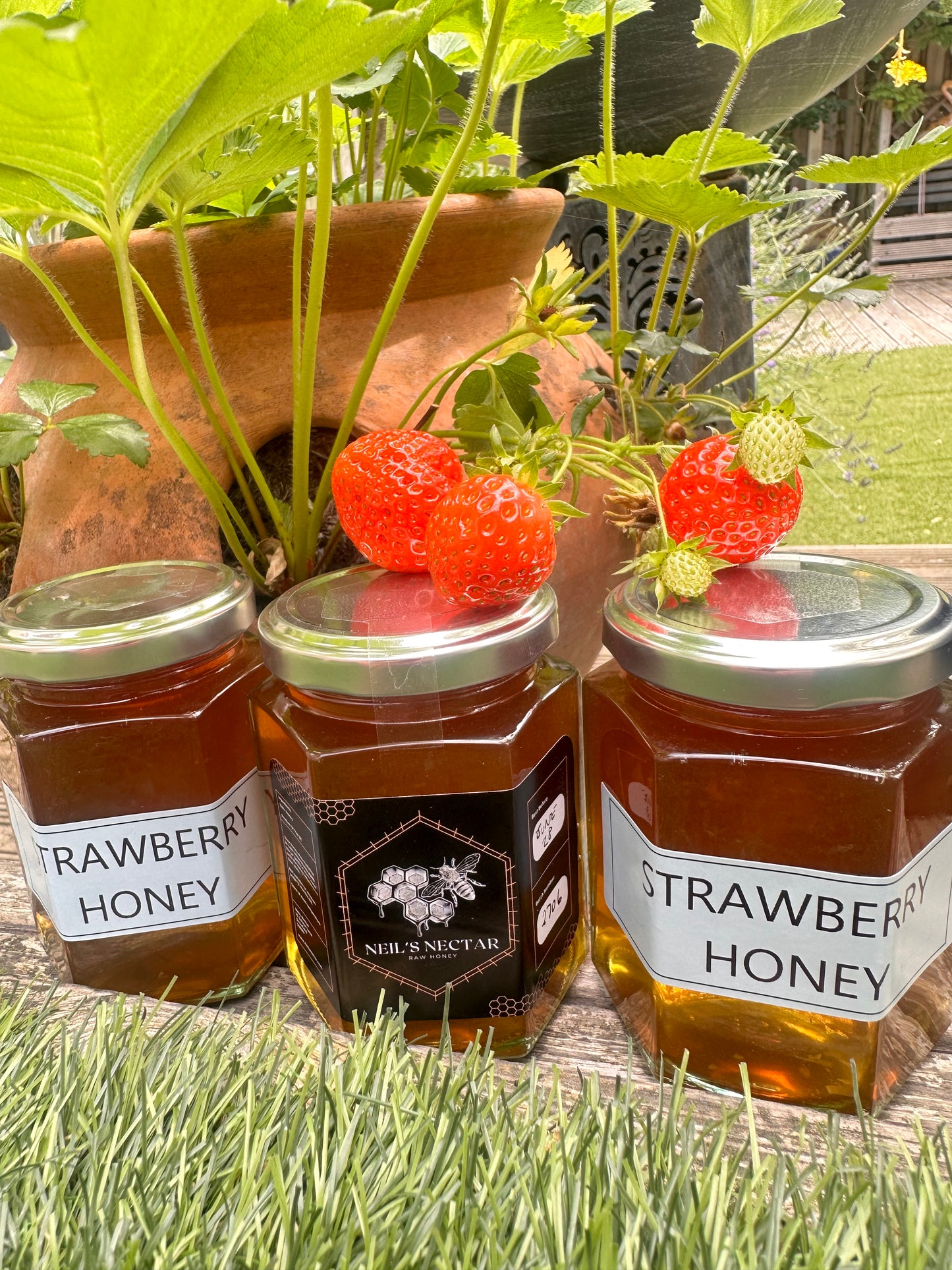 Strawberry infused Honey 8oz Jar 226g