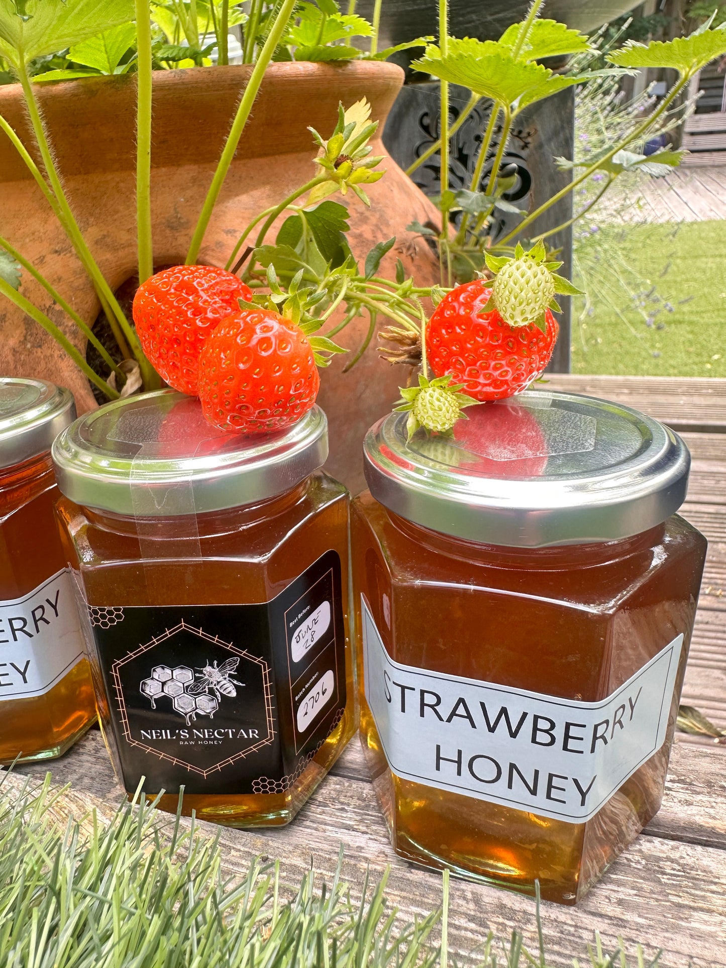 Strawberry infused Honey 8oz Jar 226g