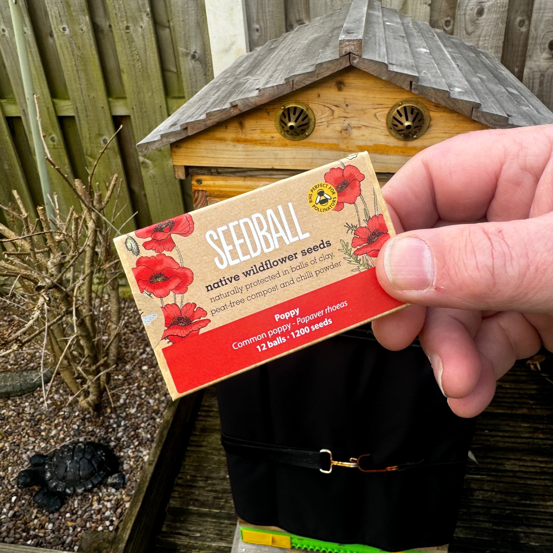 wildflower seeds box Wildflower Mix Match Box (6 Varieties to choose from) – Neil's Nectar