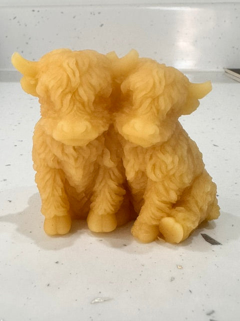 Pure Beeswax loving Highland cows melt