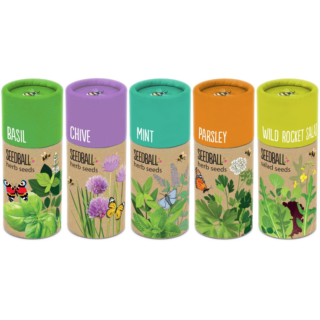 Grow Your Own Herb Tube (5 to choose from)